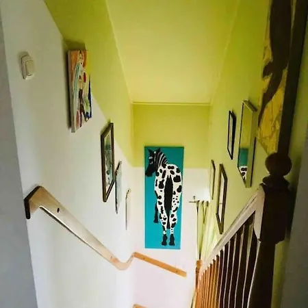 Blueberry 노베 바르프노