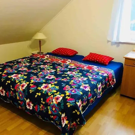 Blueberry * 노베 바르프노