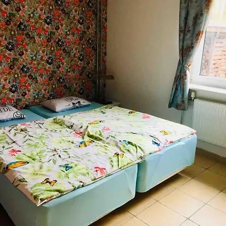 Blueberry 노베 바르프노