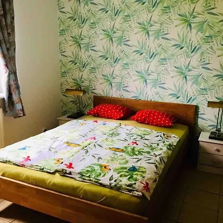 펜션 Blueberry 노베 바르프노