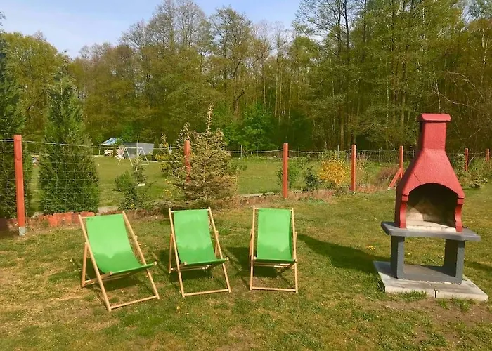 Blueberry * نوفي فاربنو