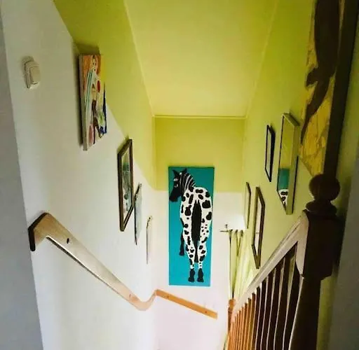 Blueberry نوفي فاربنو