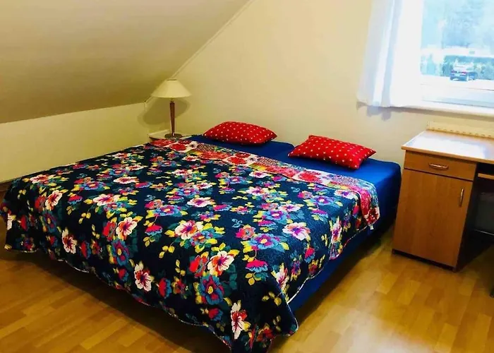 Blueberry * نوفي فاربنو