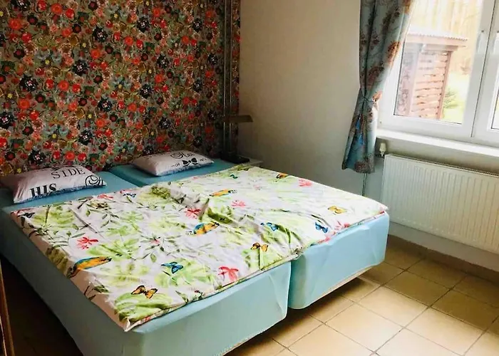 Blueberry نوفي فاربنو