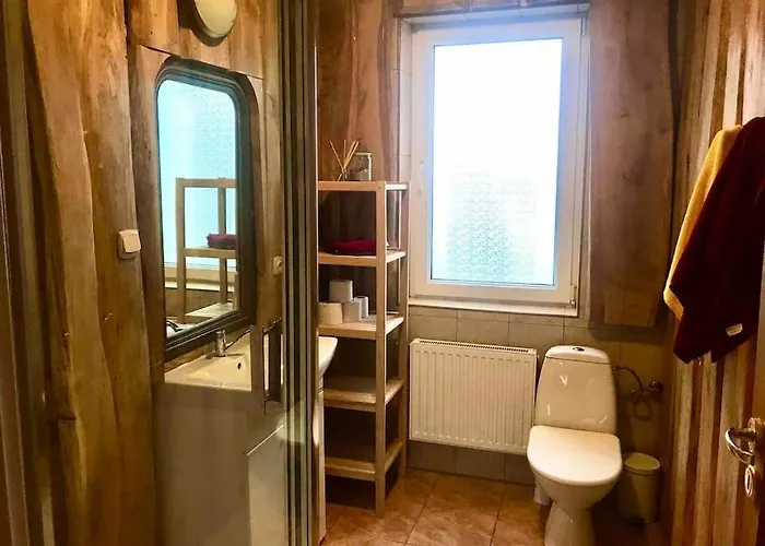 Blueberry نوفي فاربنو